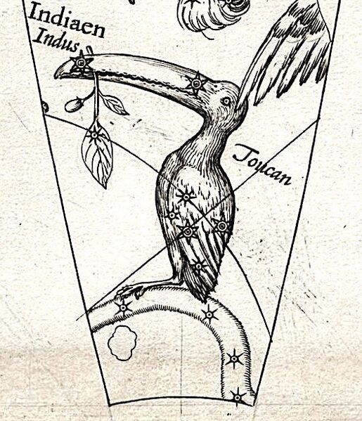 File:Toucan plancius1598.jpg