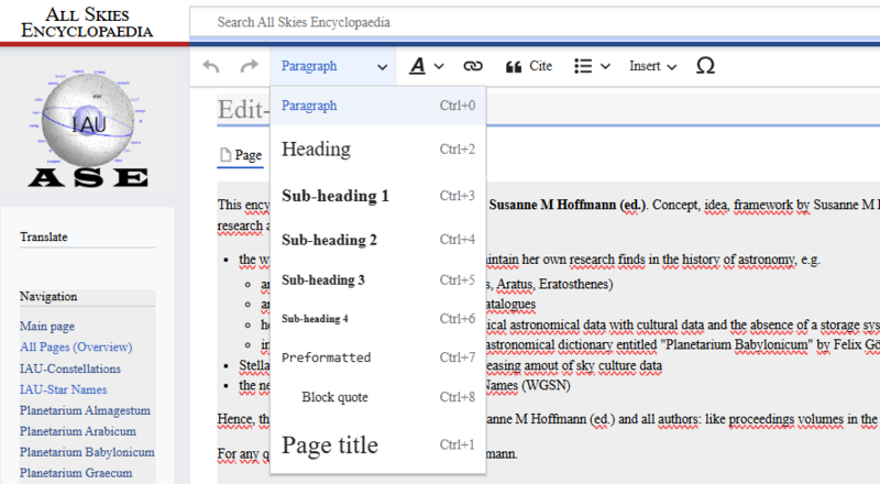 File:ASE editor basicForm.png