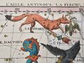 Vulpecula et Anser depicted in Fortin's Atlas Céleste, 3rd edition (1795)