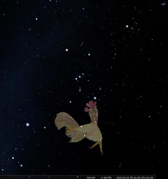 File:Rooster stellarium.jpg