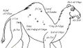 Thumbnail for version as of 12:18, 17 April 2025