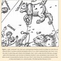 The eight 'external' stars south of Ursa Major in Dürer's star chart 1515, described by Ian Ridpath (highlighted by SMH).