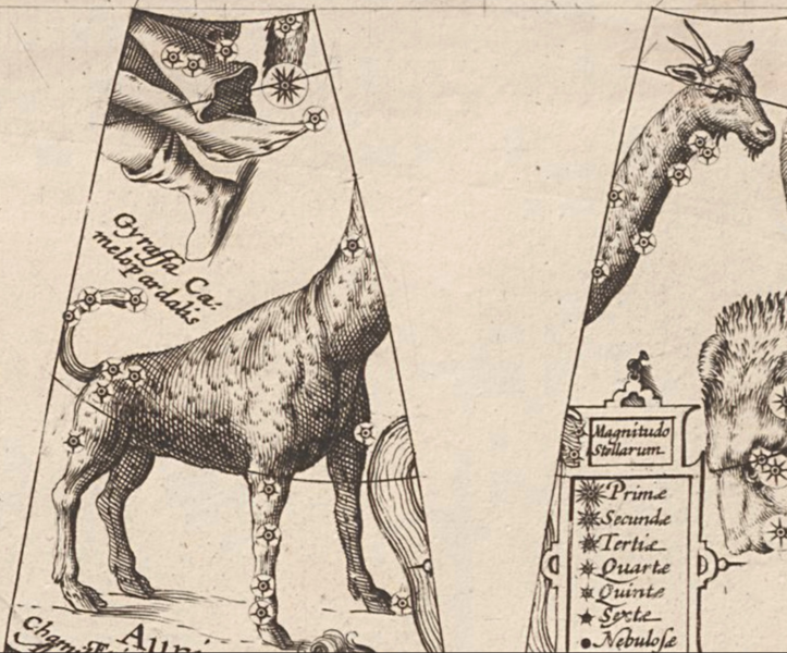File:Cam Plancius1612.png
