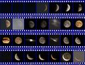 One lunation observed in central Europe (Austria/ Germany). Credits: Susanne M Hoffmann.