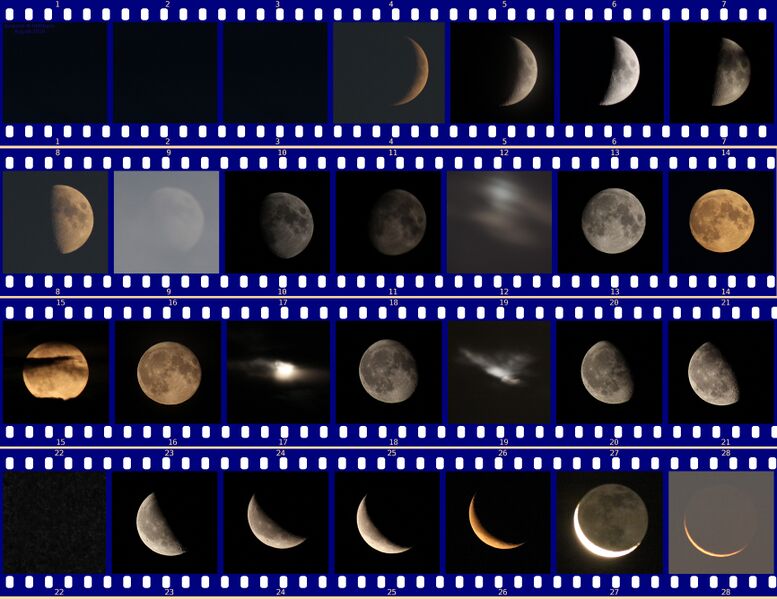 File:Moon all Astronomy in Culture cBook.jpg