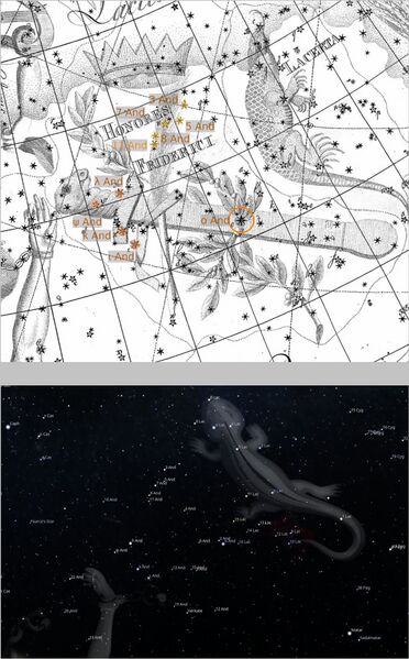 File:Honores+stellariumLabld+starLabl.jpg
