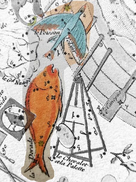 File:Dor+Vol+Pic Fortin1795 dor+volHi.jpg
