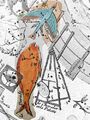 Dorado and Volans in Fortin's Atlas Céleste, 3rd edition (1795).