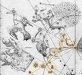 Bayer (1603): Constellation Hydrus (CC0)