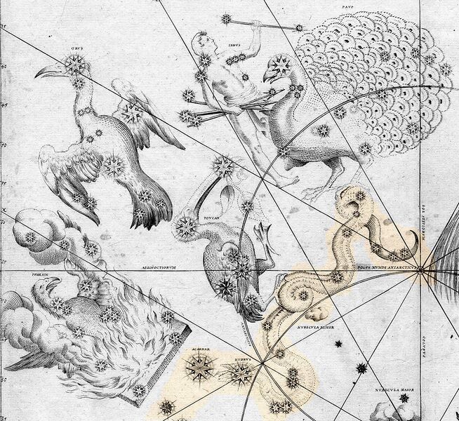 File:1024px-Johann Bayer - Uraniometria - Hydrus.jpg