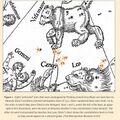 Thumbnail for version as of 11:30, 12 September 2024