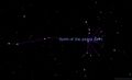 Spirit of the Awarra Palm: constellation of the Lokono People in South America. Screenshot from Stellarium (2024), sky culture produced by Konrad Rybka.
