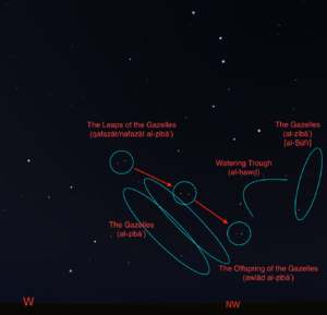 The Gazelles, the Offspring of the Gazelles, the Leaps of the Gazelles, and the Watering Trough, after Ibn Qutayba. The location of the Gazelles according to al-Ṣūfī is also provided.