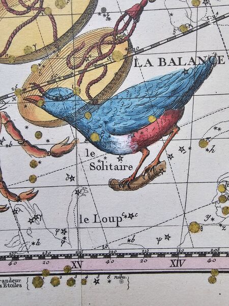 File:Solitaire Fortin1795.jpg