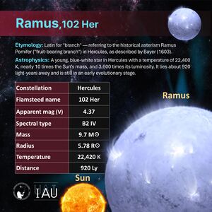 WGSN star name profile card