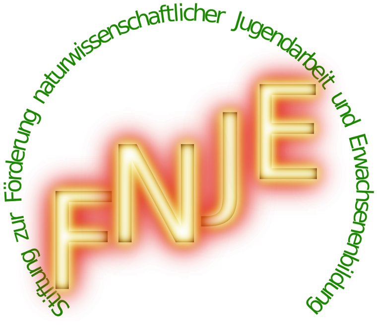 Logo of the Foundation FNJE